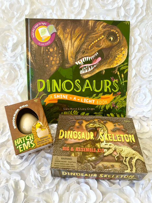 Dinosaur Mini Kid Kit (Ages 6+)