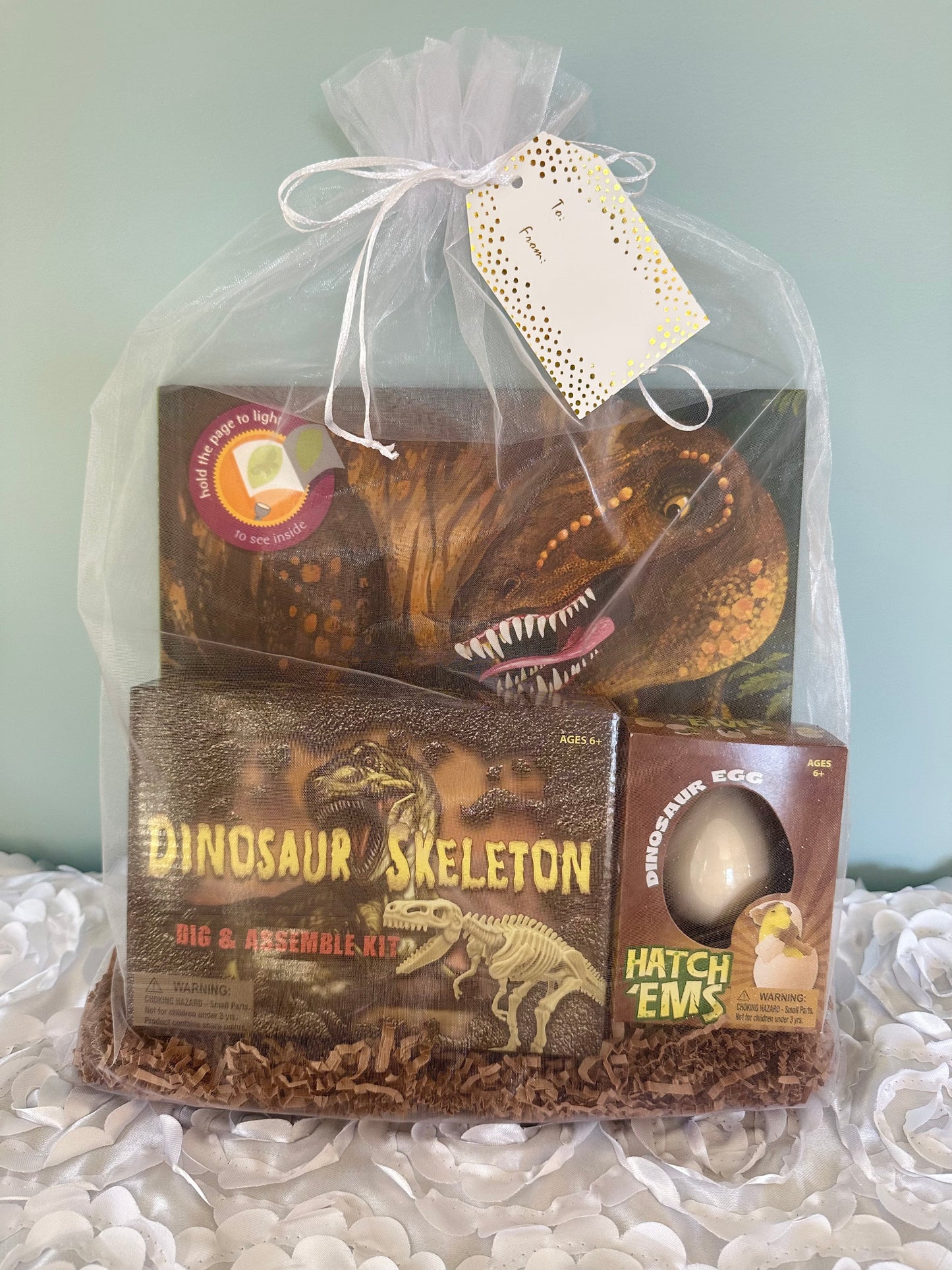 Dinosaur Mini Kid Kit (Ages 6+)