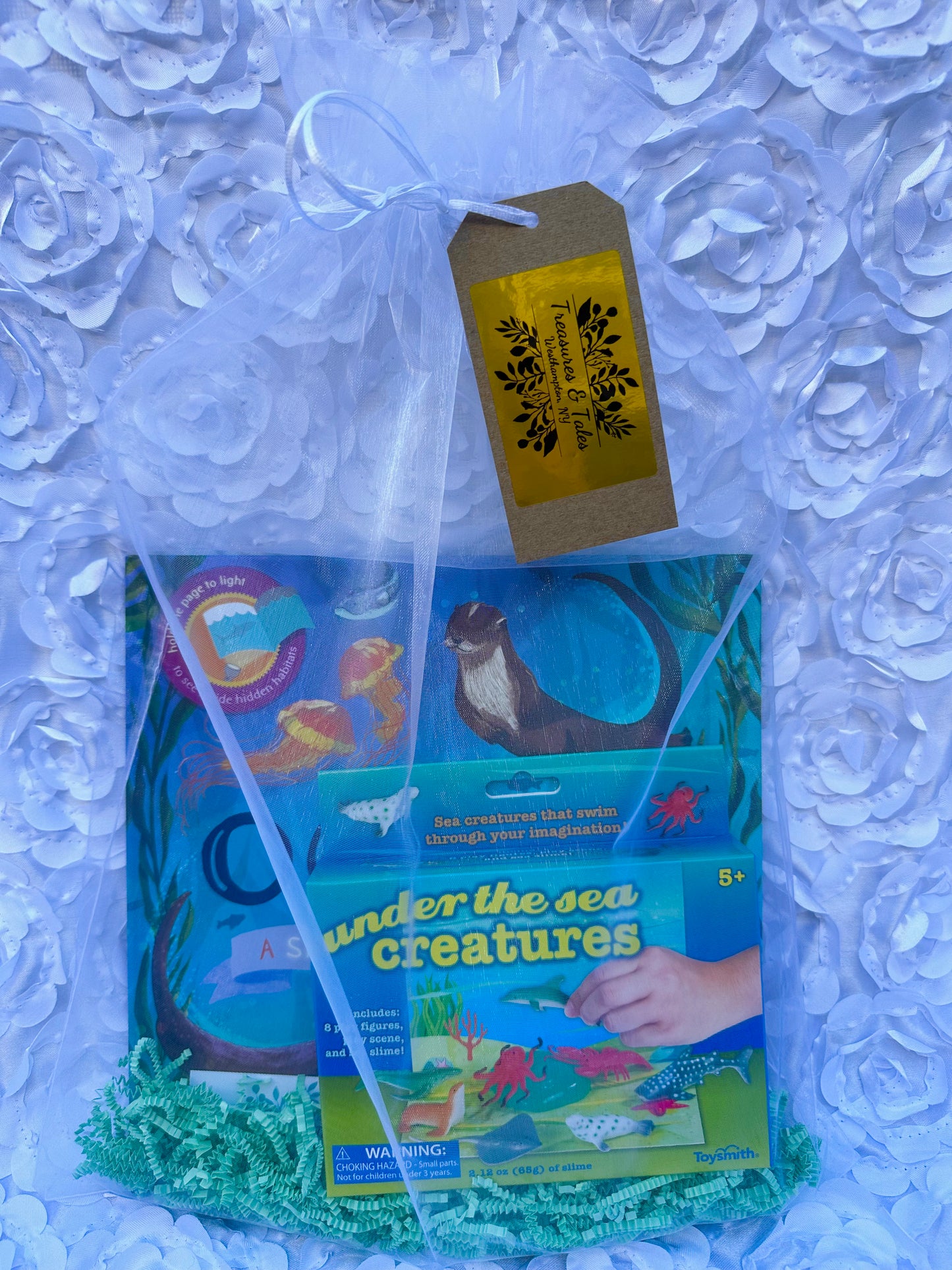 Mini Ocean Kid Kit (Ages 5+)